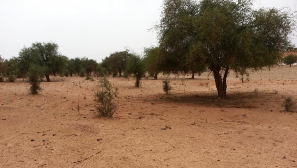 Au Niger, une attaque dans le hameau de Aghay, dans la région de Tillabéry, à la frontière malienne, a eu lieu dans la nuit de vendredi à ce samedi 19 mai. 17 civils ont été tués. Il s’agirait de représailles de jeunes de la communauté Touareg sur leurs voisins Peuls.