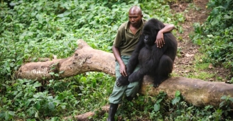 RD Congo : les attaques armées forcent le parc des Virunga à fermer ses portes