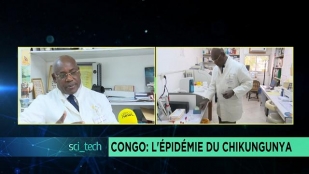 Contenir l'épidémie du chikungunya au Congo [Sci-Tech]